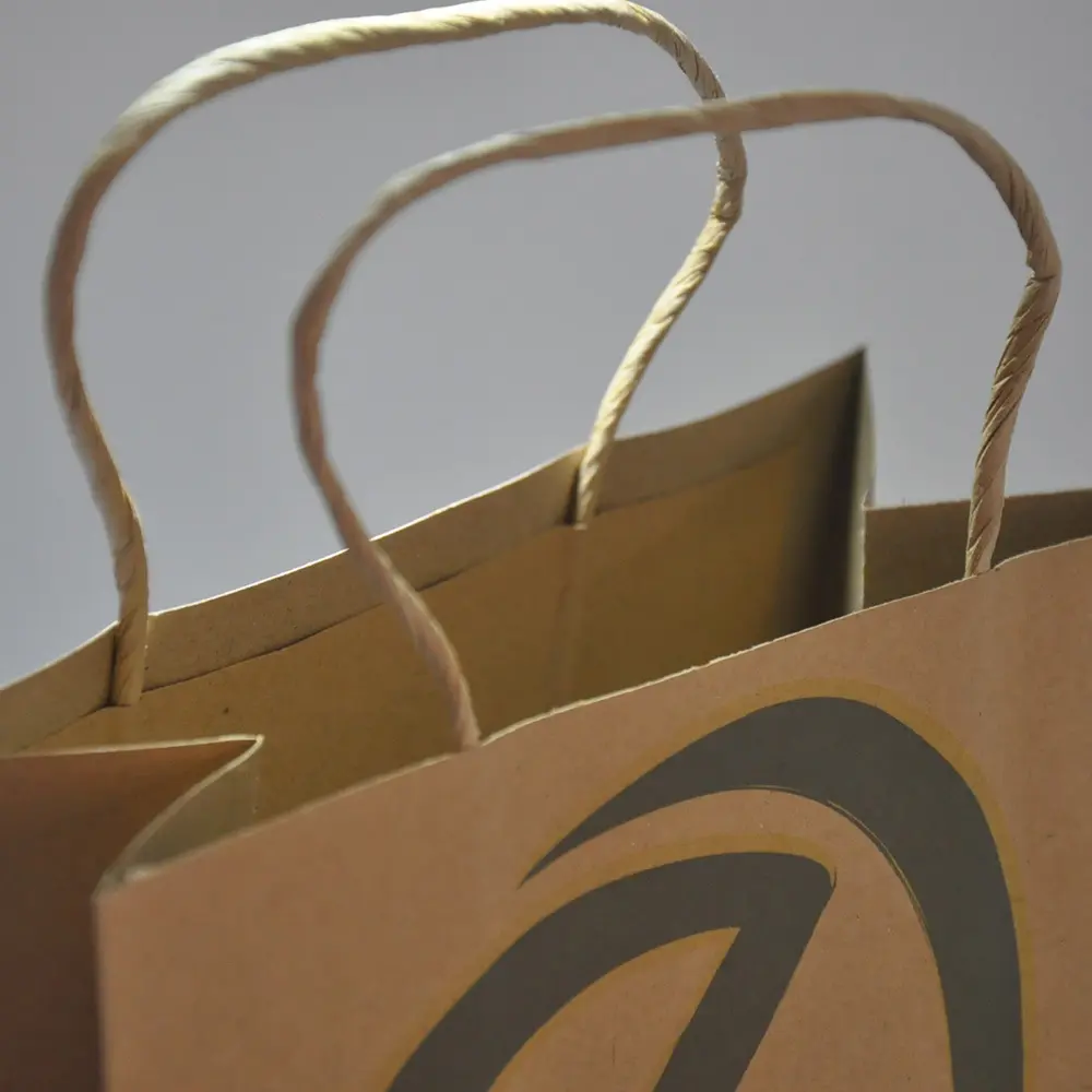 Brown Paper Shopping Bags Solutions Ouluo 5