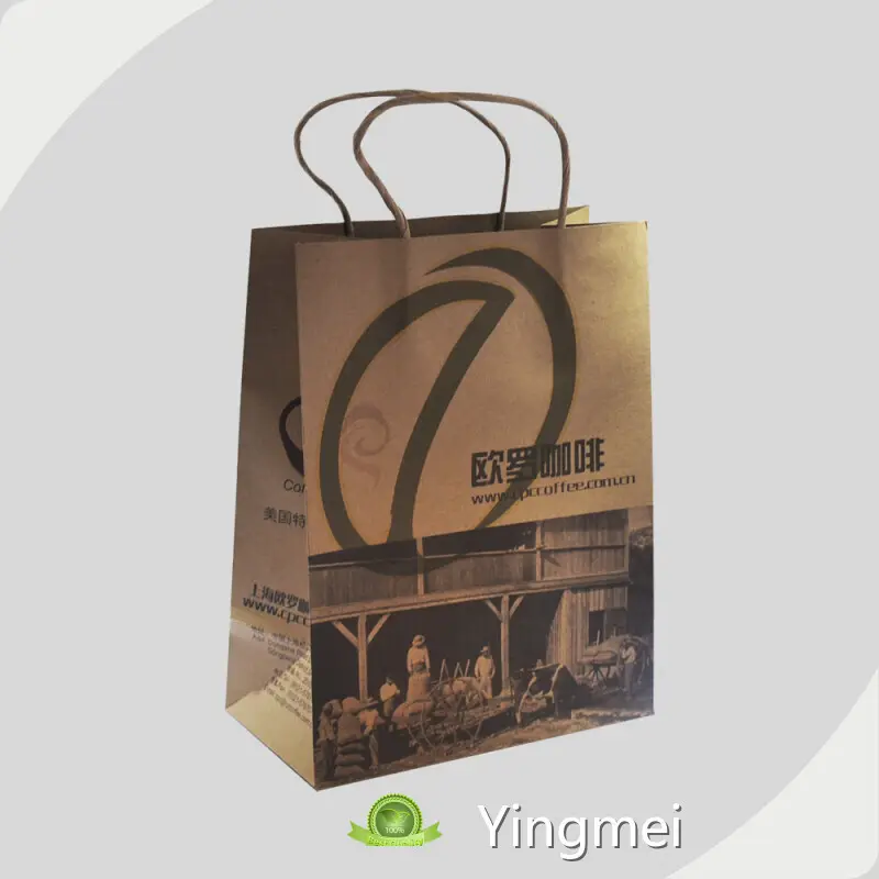 Brown Paper Shopping Bags Solutions Ouluo 1