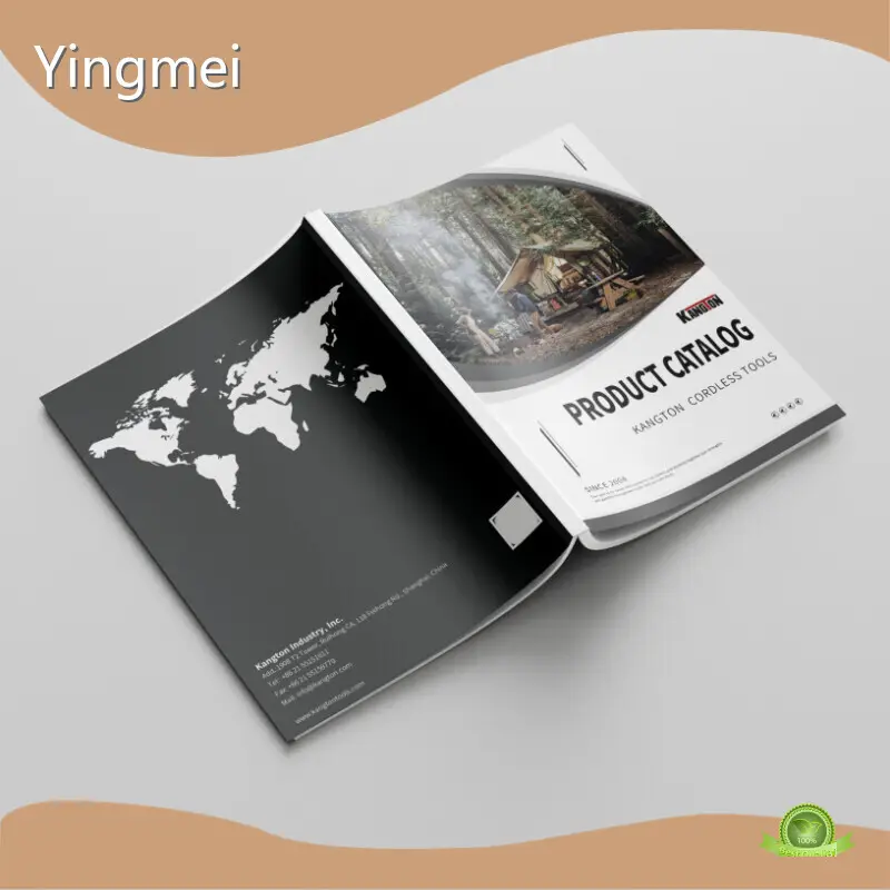 Yingmei Custom Comic Book Printing 1