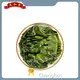 Garlic Hot Sauce Chenghot,-1 1