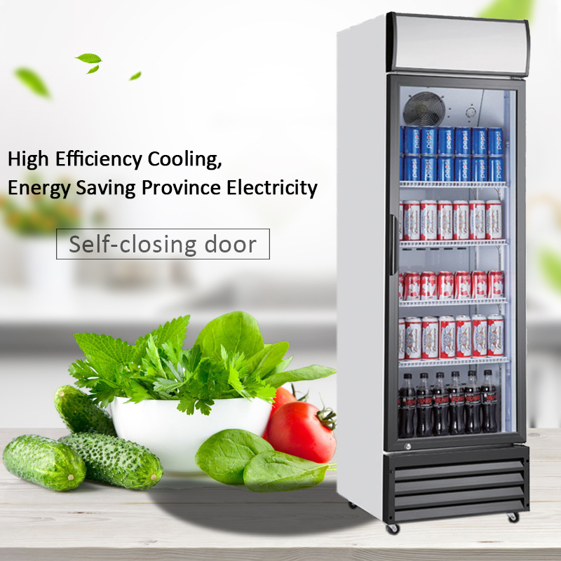 Single Door Display Cooler 380L for Pepsi and cola cooler 2
