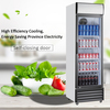 Single Door Display Cooler 380L for Pepsi and cola cooler 2