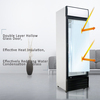 Single Door Display Cooler 380L for Pepsi and cola cooler 3