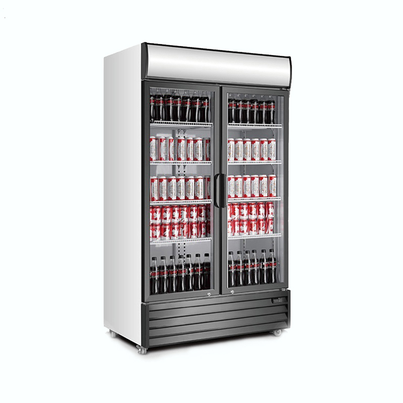 Porte en verre de refroidisseur de boissons verticale de porte à double charnière 1