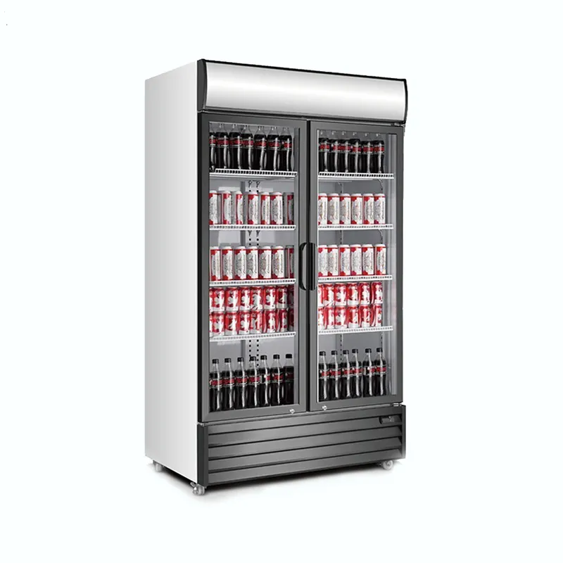 Keep Your Drinks Chilled: The Benefits Of An Upright Beverage Cooler 1