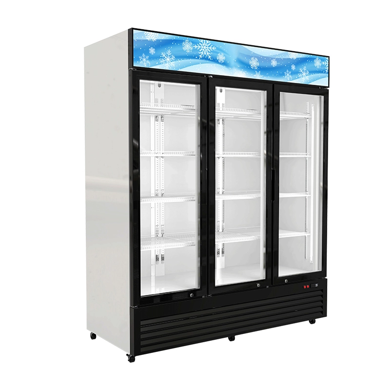 High Quality Commercial Bar Fridges 1635×720×2010mm (64.4″×28.4″×79.1″) Apex Cool Company 3