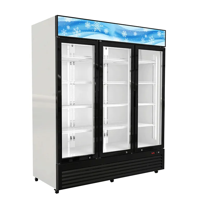 Display Fridge for Sale for Business 1635×720×2010mm (64.4″×28.4″×79.1″)personalized 4