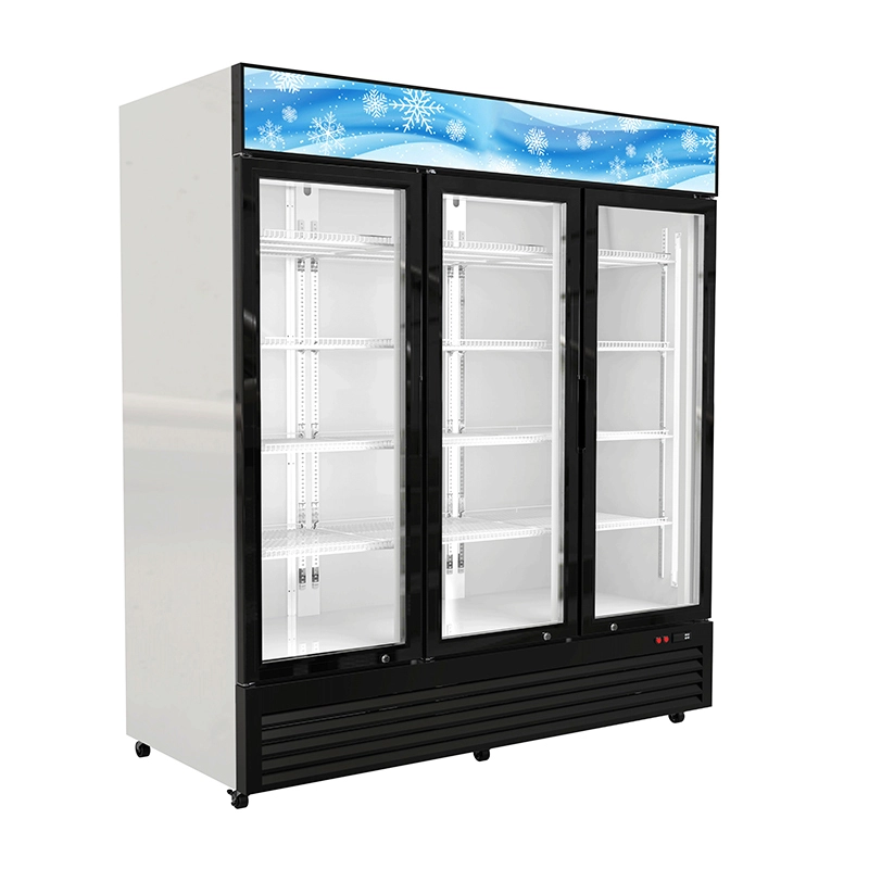 High Quality Commercial Bar Fridges 1635×720×2010mm (64.4″×28.4″×79.1″) Apex Cool Company 5