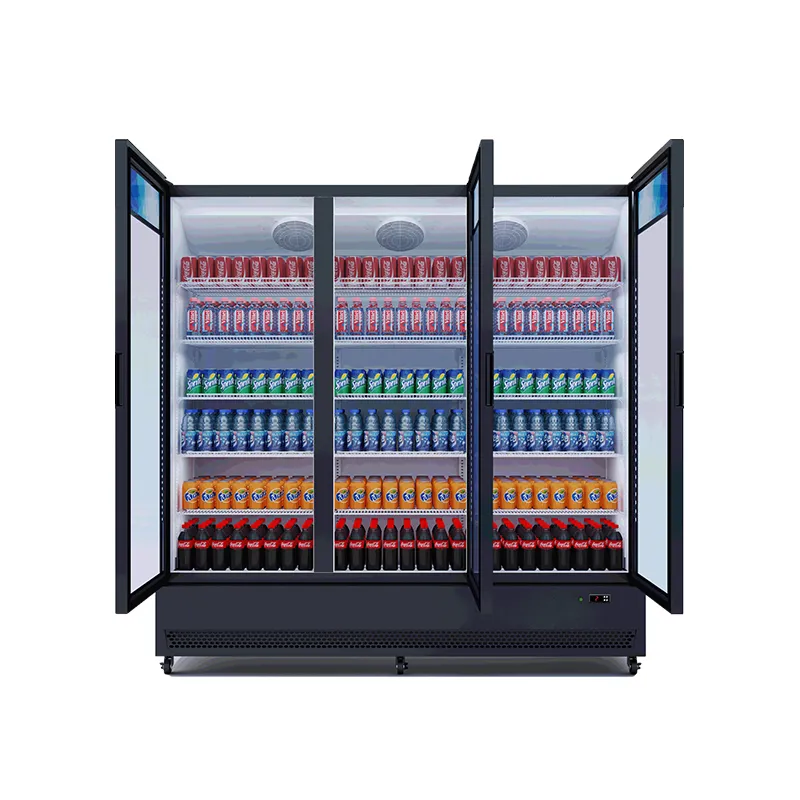 Apex Cool Upright Drinks Fridge 200 / 222 Kgwith Good Price 3