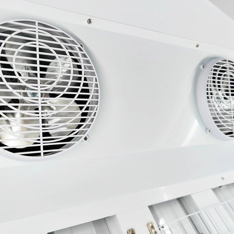 High Quality Display Chillers Fast Delivery 2