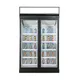 Apex Cool Shop Display Fridge 620×735×2090mm (24.4″×28.9″×82.3″)order Now 4
