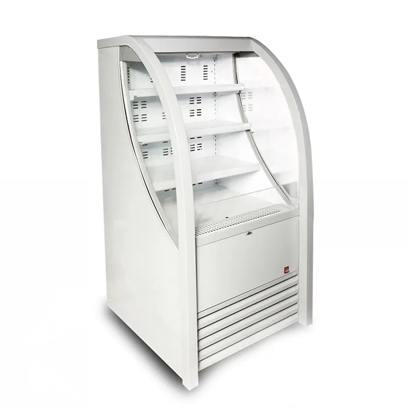 Open Chiller for Vegetables at Sale 130 / 145 Kgquality Assurance 2