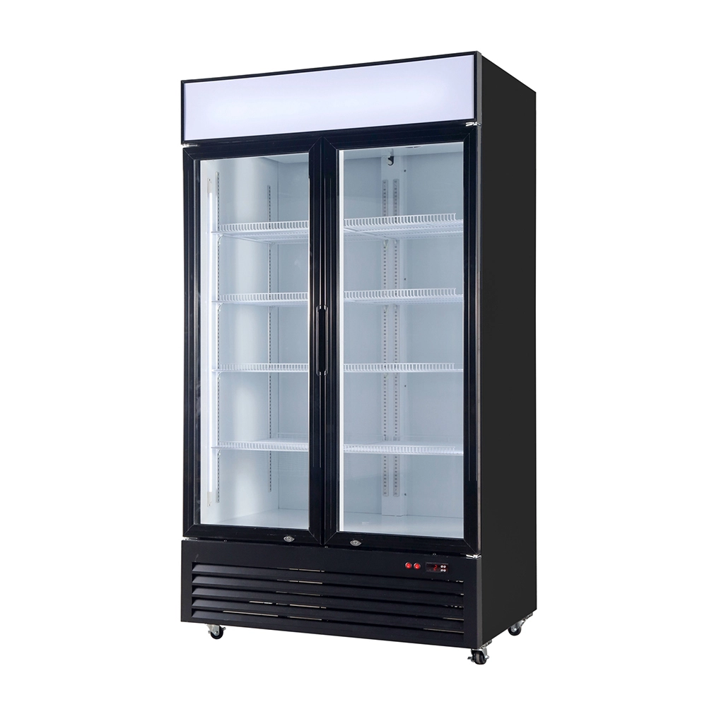 Apex Cool Brand Tall Glass Door Drinks Fridge Supplier 3