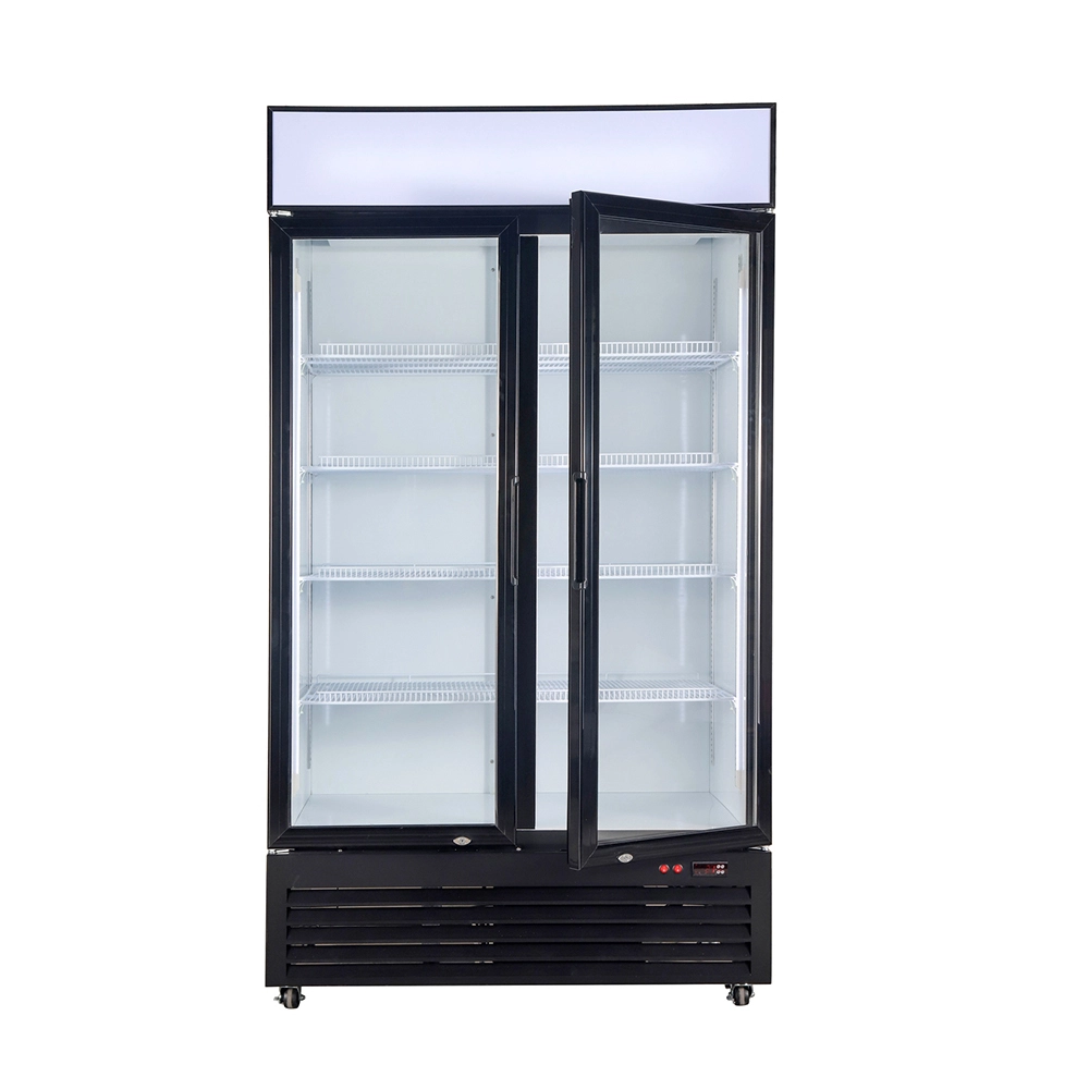 Apex Cool Brand Tall Glass Door Drinks Fridge Supplier 4