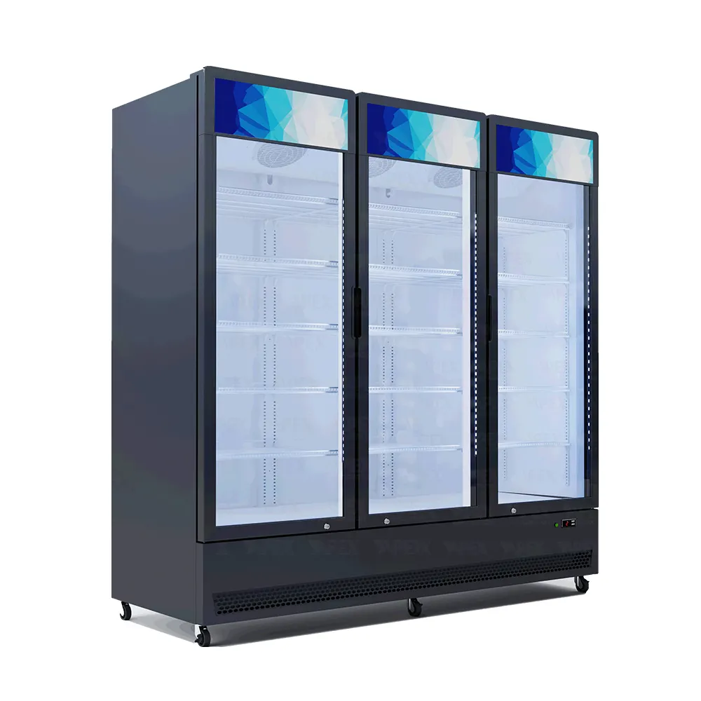 Choosing The Best Display Refrigerator For Your Business 1