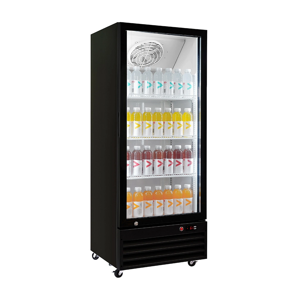 Yiyecek & İçecek Promosyonu için Apex Tek Kapılı Ulaşılabilir Soğutucu 1