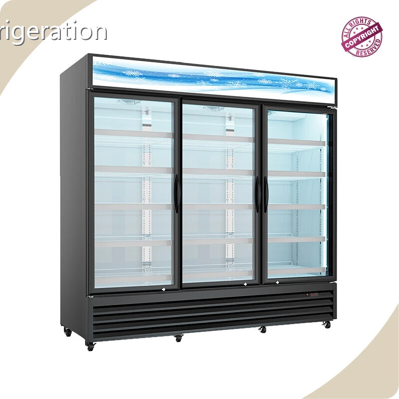 High Quality Commercial Bar Fridges 1635×720×2010mm (64.4″×28.4″×79.1″) Apex Cool Company 1