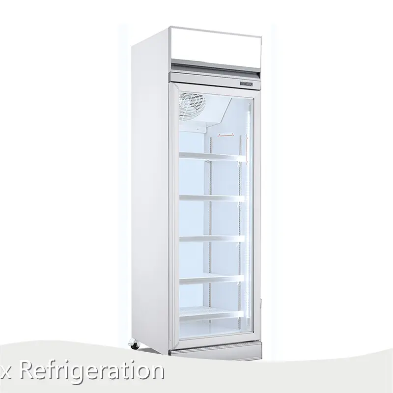 Apex Cool Brand Display Fridge Price Supplier 1