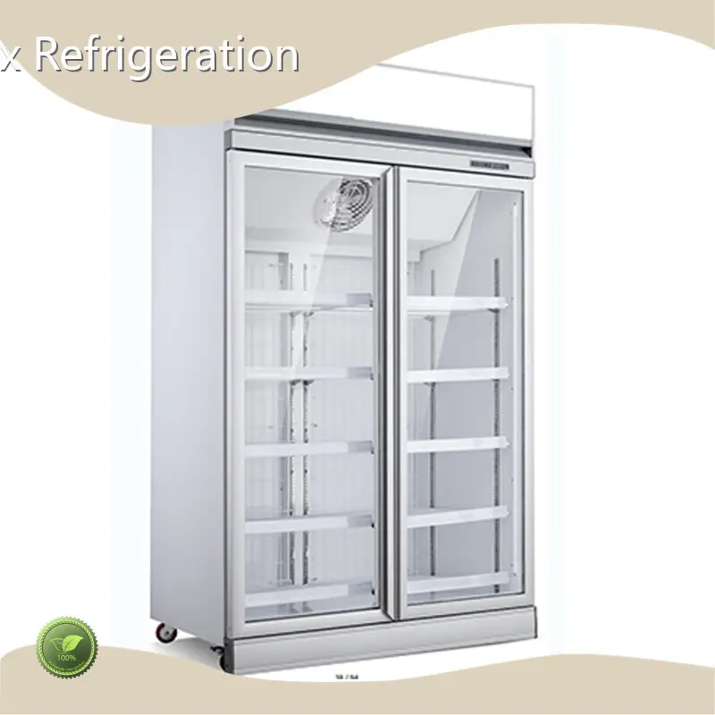 Commercial Fridge for Drinks Apex Cool Brand 150KG / 175KG 1250×735×2090mm (49.2″×28.9″×82.3″) 1