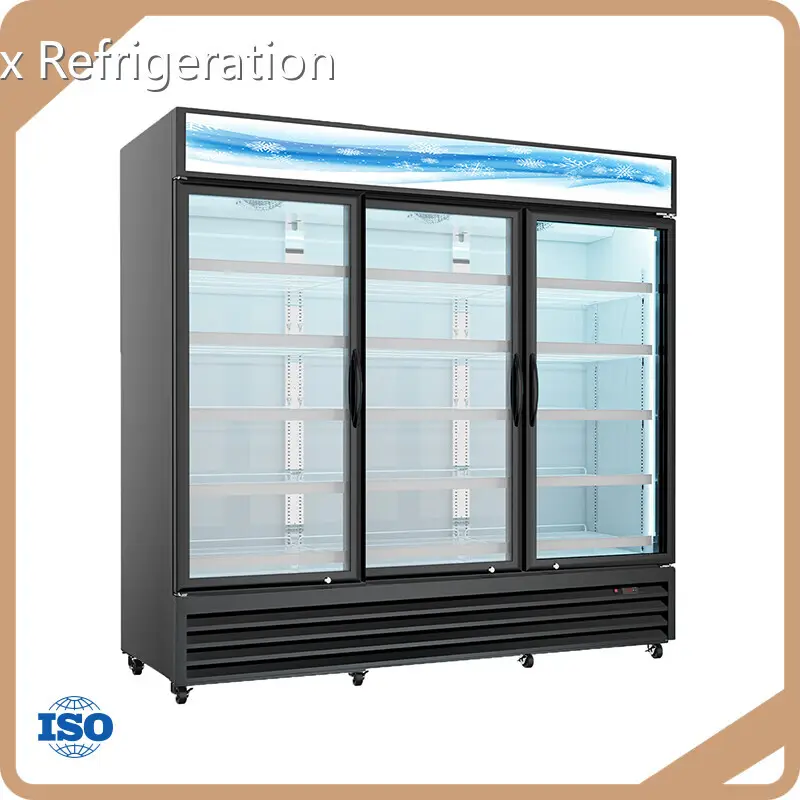 Safe to Use Vertical Beverage Cooler Supplier for Home 1