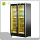 Commercial Bar Fridges V2E-112 R290factory Price 1