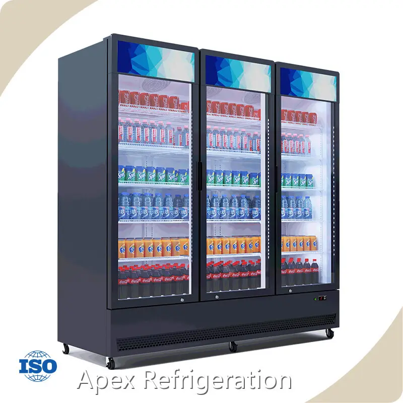 Apex Cool Upright Drinks Fridge 200 / 222 Kgwith Good Price 1