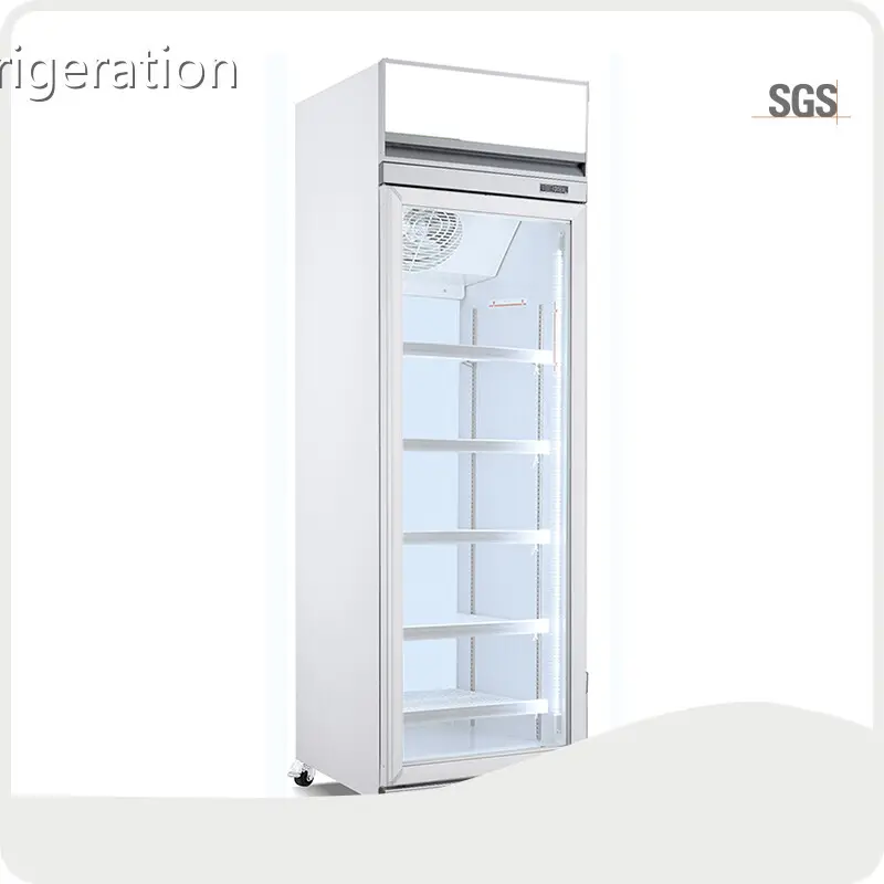 Shop Display Fridge 620×735×2090mm (24.4″×28.9″×82.3″) R290all Sizes 1