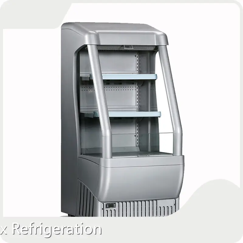 Company Open Chiller for Vegetables 135 Liters / 4.77 Cu.Ft by Apex Cool 1