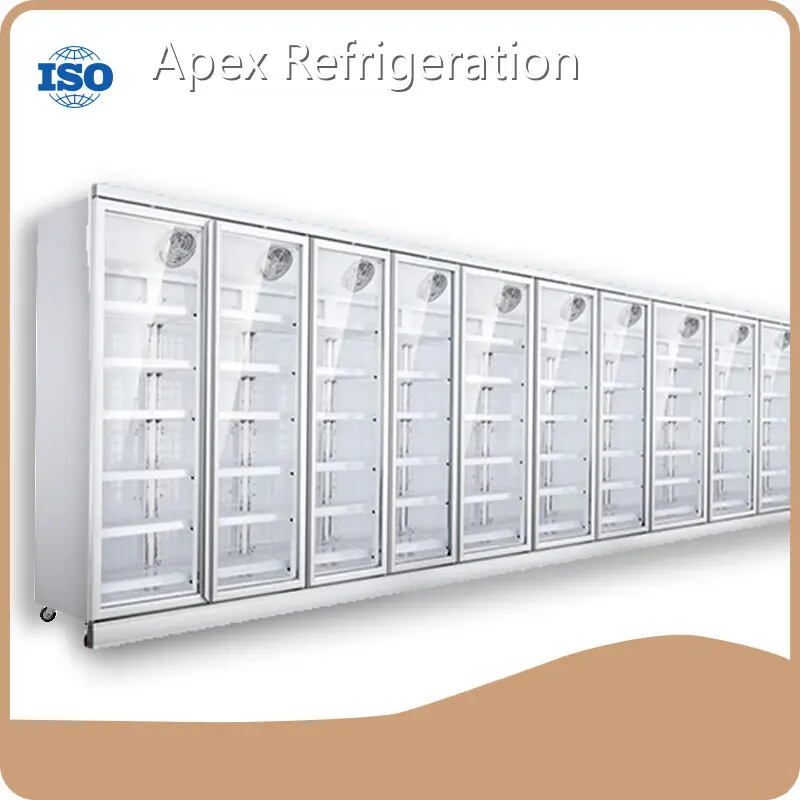 Display Coolers R600A/R290 - at Sale - Apex Cool 1