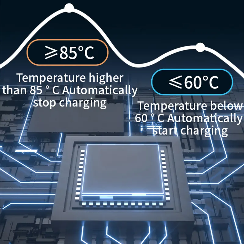 Cargador portátil de CA para vehículos eléctricos - - Champion 6