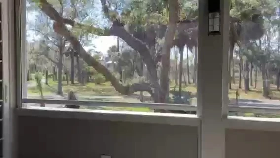 Tende a rullo automatiche trasparenti per pergola e terrazza - LIHUE 1