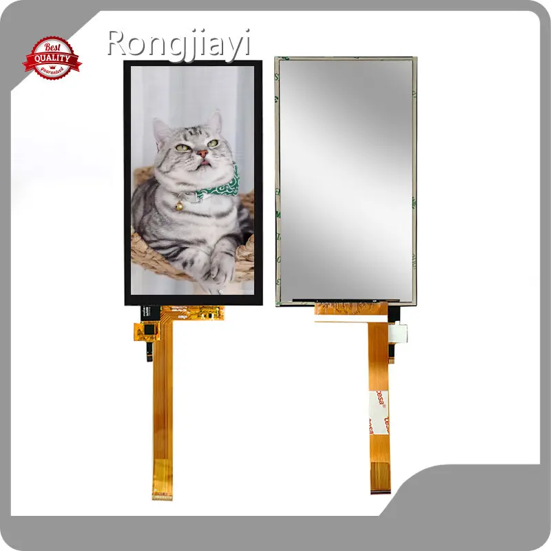 Custom Lcd Display Module - for Industrial Displays - RJY Display 1