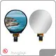 Good Selling Custom Lcd Screen Manufacturer From China | RJY Display 1