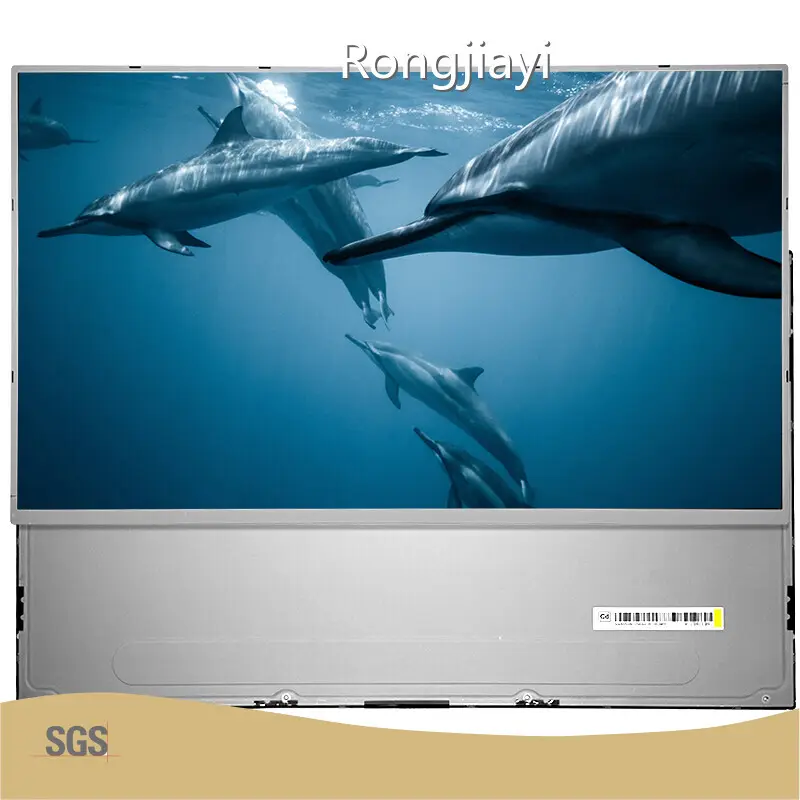 Custom Custom Lcd Manufacturer Manufacturer Manufacturer | RJY Display 1