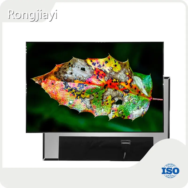 Tft Display Manufacturers RJY Display, 1