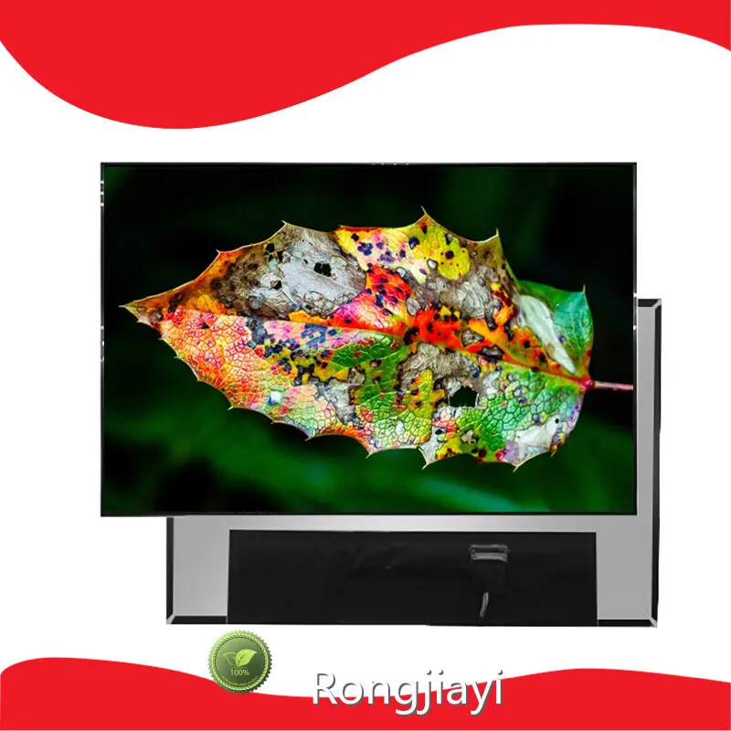 Best Price RJY Display Custom Lcd Display - 1