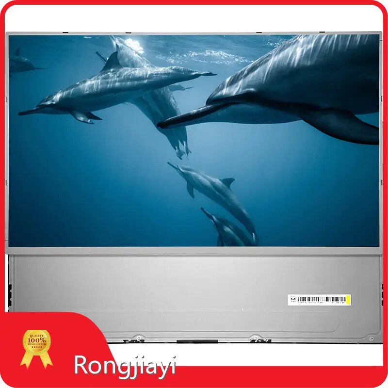 Lcd Screen Manufacturers RJY Display Manufacture 1