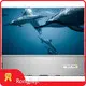 Lcd Screen Manufacturers RJY Display Manufacture 1