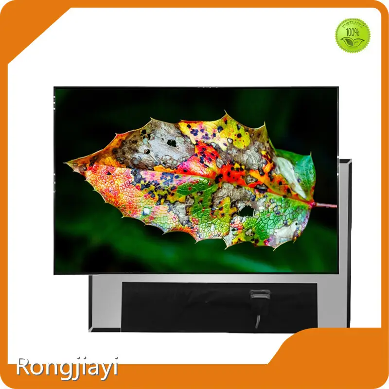 Custom Lcd Module Suppliers RJY Display 1