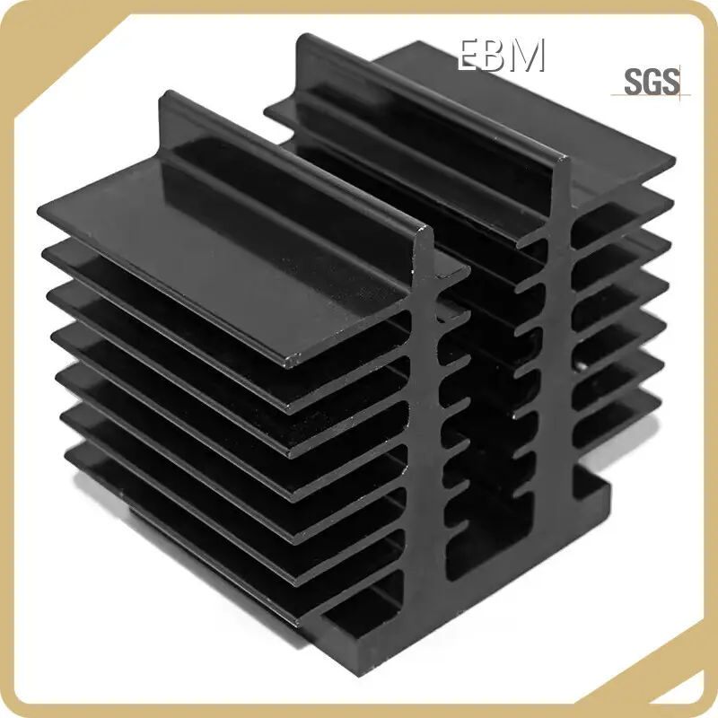 Extruded Aluminum Case Parts EBM, 1