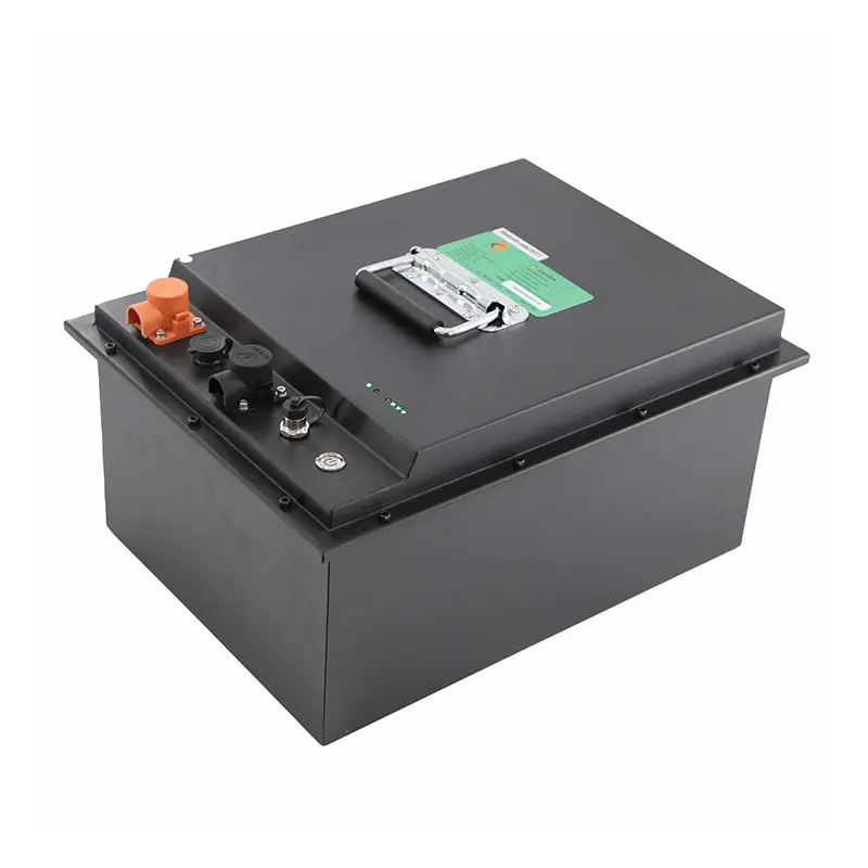 LEMAX Custom Forklift Battery Pack for Sale 3