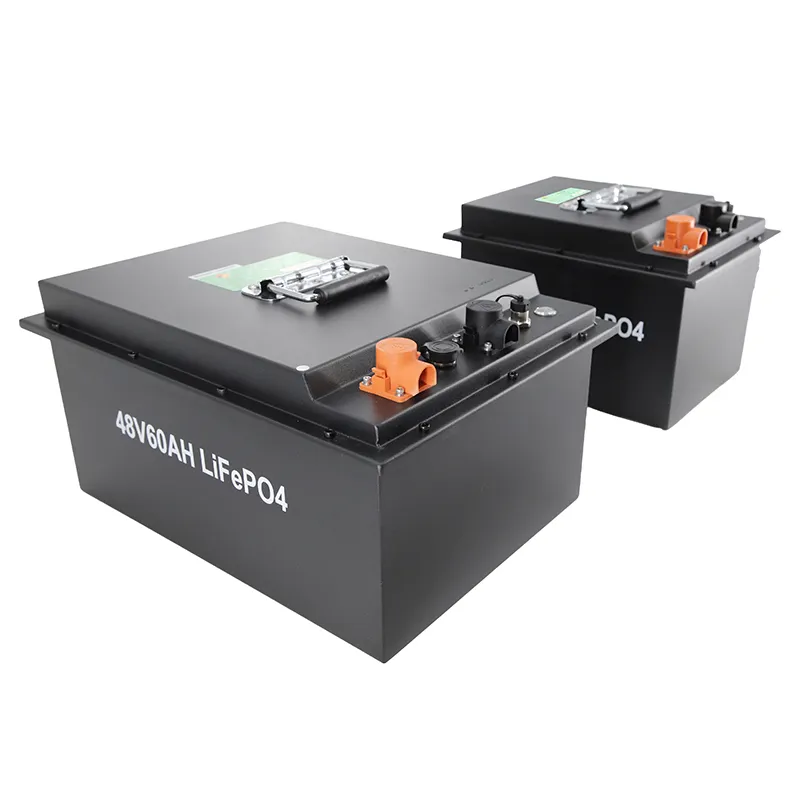 LEMAX Custom Forklift Battery Pack for Sale 5