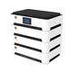Professional Electric Storage Battery Company Vendor 2