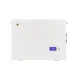 Custom LEMAX Battery Storage Wall Mount 1