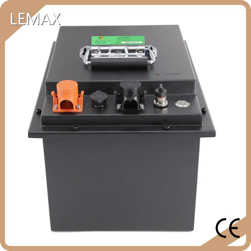LEMAX Custom Forklift Battery Pack for Sale 1