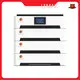 Professional Electric Storage Battery Company Vendor 1