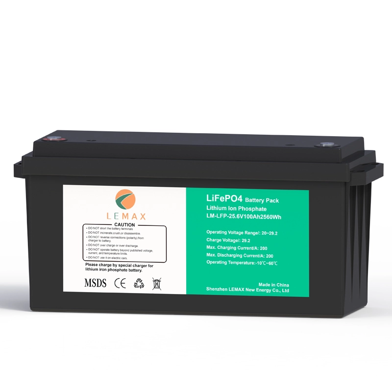Batteria al litio da 2,5 kWh LM-LFP-25.6V100Ah 1