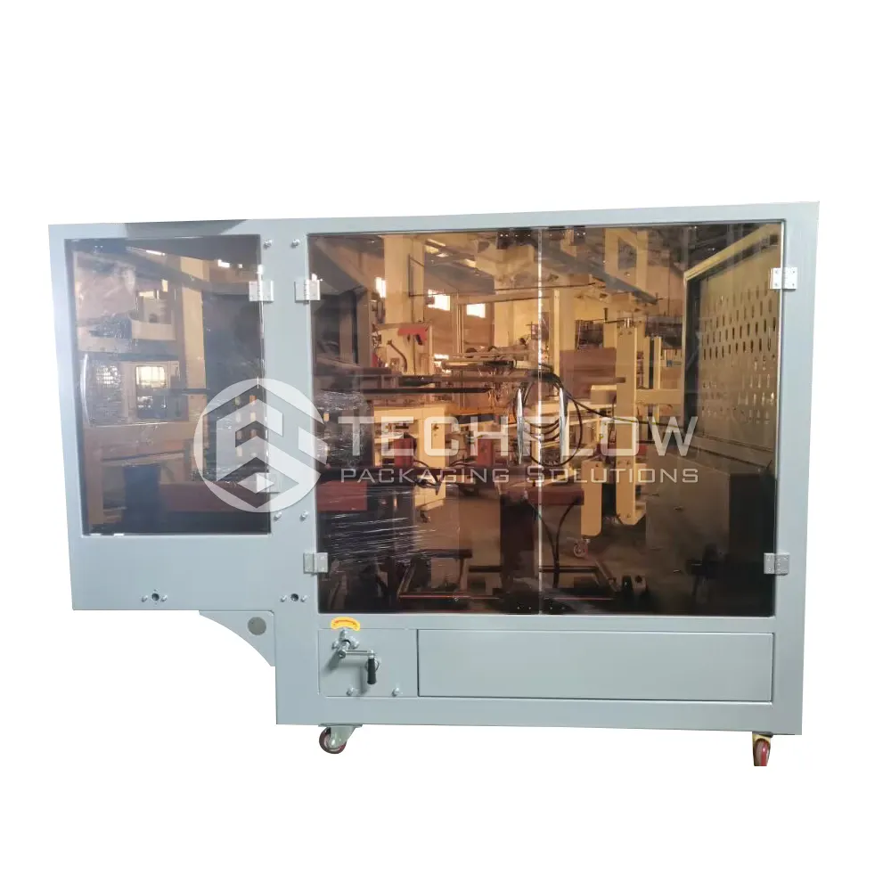 Automatic Packing Machine Techflow Pack Company 2