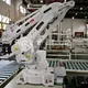 Techflow Pack Automatic Palletizer Manufacturers Price 5