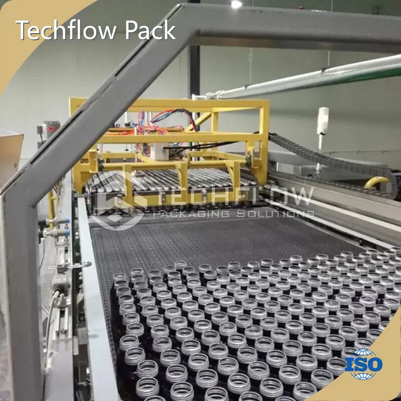 Customizedbottle Depalletizer Techflow Pack Company 1